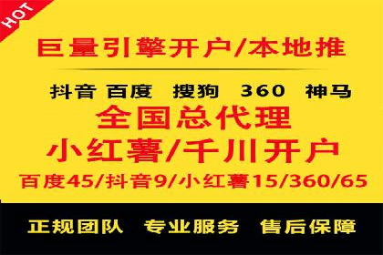 SEM服务公司成功案例解读